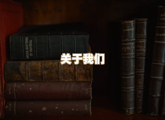 关于黛潮读库